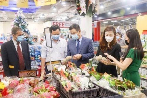 Diễn đàn kết nối tiêu thụ nông sản 970: Tăng cường tìm kiếm, mở rộng thị trường