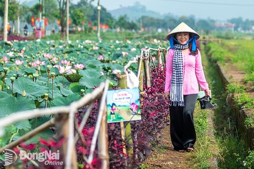 Ấn tượng ở xã nông thôn mới kiểu mẫu