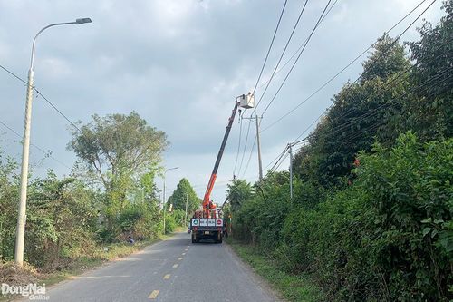 Huy động nguồn lực phát triển nông nghiệp, nông thôn