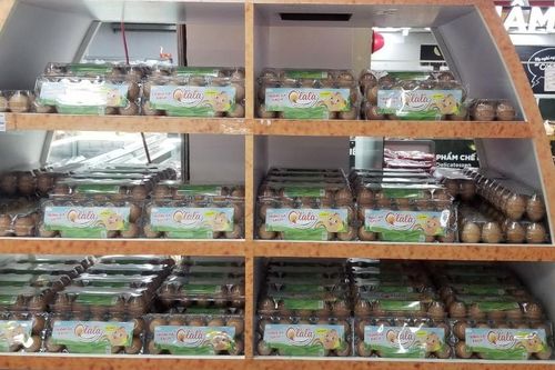 Hòa Phát hợp tác với Winmart cung cấp hơn nửa triệu quả trứng gà mỗi tháng