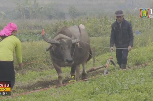 Lễ hội xuống đồng của đồng bào dân tộc