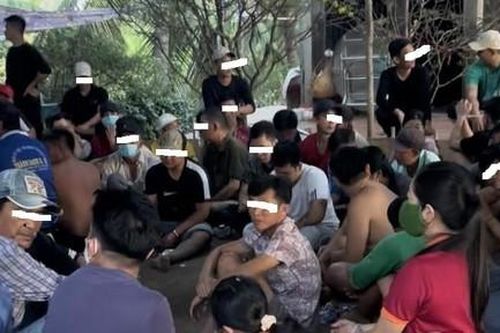 Đánh sập trường gà chuyên nghiệp, tạm giữ 64 đối tượng