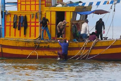 'Săn' lộc biển