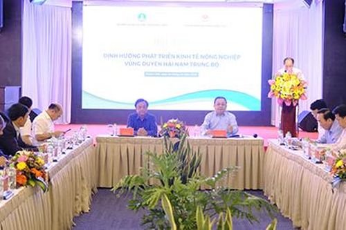 Gắn nông nghiệp vùng duyên hải Nam Trung Bộ với phát triển du lịch