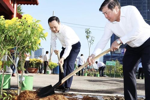 TP Thủ Đức đã trồng đạt 75% chỉ tiêu cây xanh của nhiệm kỳ