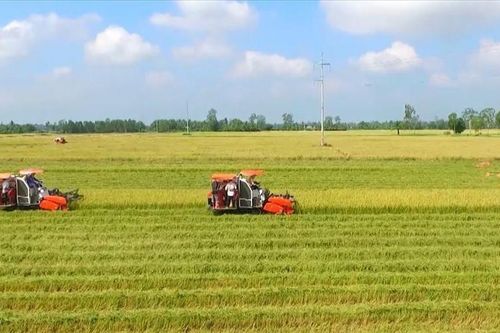 Chuyển nhượng đất nông nghiệp được tặng cho