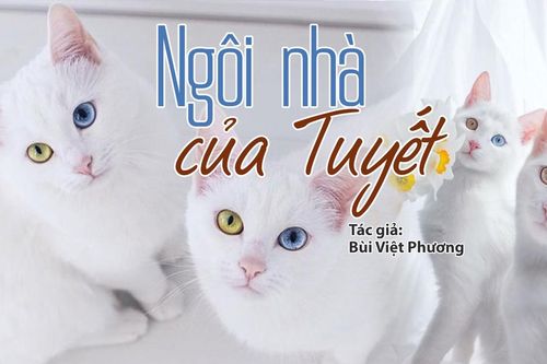 Đọc truyện đêm khuya: Ngôi nhà của Tuyết