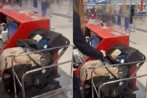 Quên mua vé máy bay cho con, cặp vợ chồng bỏ luôn đứa trẻ sơ sinh ở lại rồi ung dung khởi hành