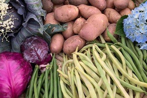 Cuộc sống an yên của gia đình 6 người bên khu vườn ở quê xanh mát quanh năm