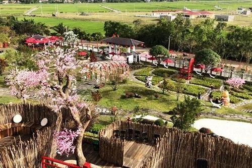 Xử lý nghiêm cơ sở du lịch tự phát Canary Garden Phú Yên