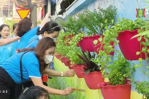 Những tuyến đường hoa tự quản (ngày 05/02/2023)
