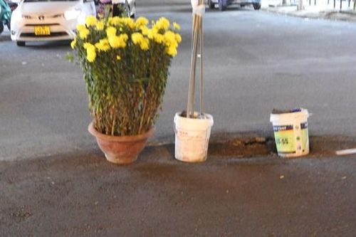 Đà Nẵng: Chậu cúc vàng cảnh báo tai nạn giữa ngã ba đường có đông khách du lịch