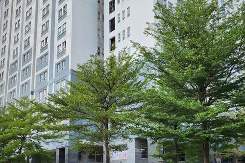 Dự án nhà ở, chung cư thế chấp ngân hàng: Trả lại quyền lợi hợp pháp cho người mua