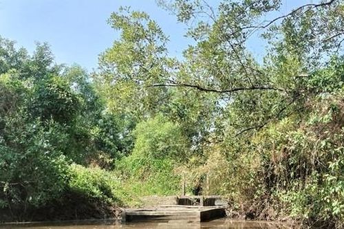 Sân chim Đầm Dơi thành vuông nuôi tôm