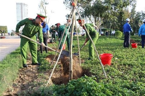 Chỉ thị số 03: Góp sức trồng 1 tỷ cây xanh, vì một Việt Nam xanh