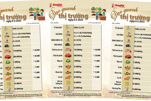 Dạo quanh thị trường 6-2-2023
