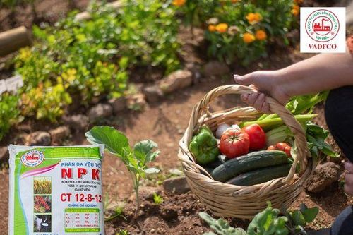 Phân bón văn Điển: Vững thương hiệu 'phân bón nội, chất lượng quốc tế'