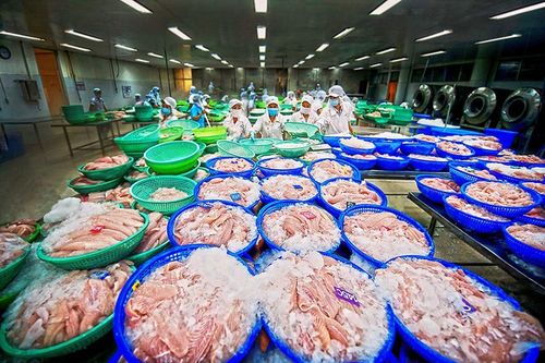 Năm 2023, xuất khẩu thủy sản sang Trung Quốc dự báo sẽ tăng chậm lại