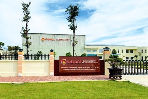 Thị giá giảm hơn 63%, cổ đông lớn Camimex mua vào 1 triệu cổ phiếu