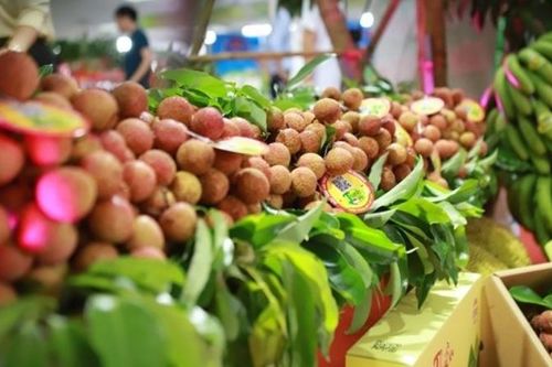 Lạc quan triển vọng xuất khẩu rau quả đầu năm 2023