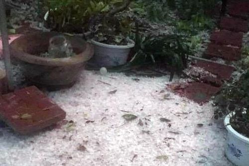 Điện Biên thiệt hại nặng nề do mưa đá xuất hiện chỉ trong 10 phút