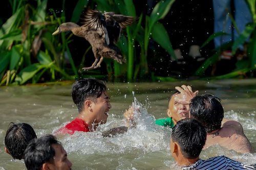 Hàng trăm thanh niên miền Tây lội sông bắt vịt để cầu may đầu năm
