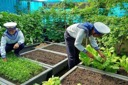 Chiến sĩ Hải quân chung tay 'xanh hóa' Trường Sa