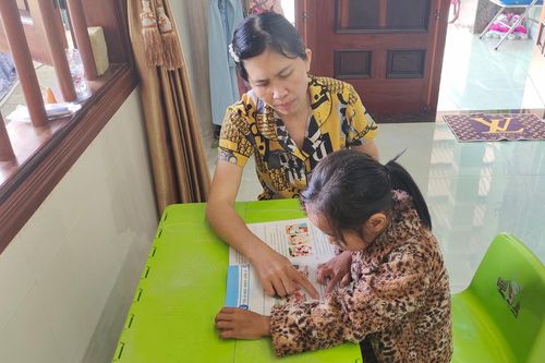 'Hoa mặt trời' ở vùng cao