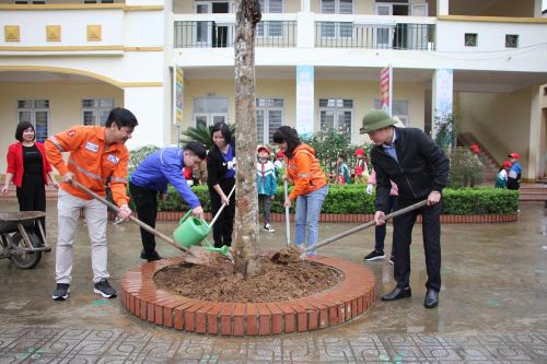 Công ty Núi pháo ươm những mầm xanh