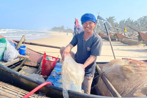 Ngư dân vùng bãi ngang Quảng Trị đón 'lộc biển' thu tiền triệu mỗi ngày