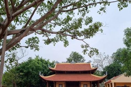 Sông Hồng ký sự - kỳ 5: Ghé làng của Tổng Cóc xem Linh tinh tình phộc