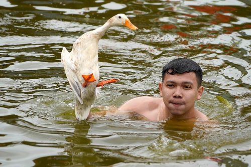Trai làng ngâm mình trong nước lạnh thi bắt vịt