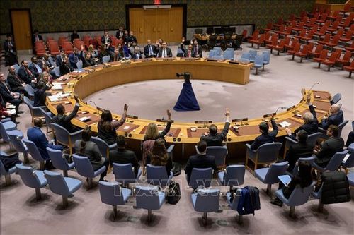 HĐBA LHQ nhóm họp về tình hình nhân đạo ở Ukraine