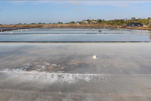 Mưa trái mùa liên tiếp, diêm dân Bạc Liêu gặp khó