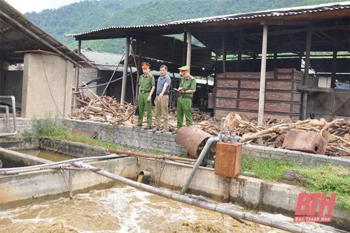 Nâng cao hiệu quả đấu tranh phòng, chống tội phạm và vi phạm pháp luật về môi trường