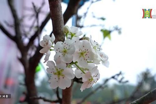 Nhịp điệu mới của thi ca (ngày 07/02/2023)