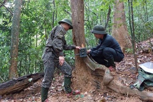 Hà Tĩnh: Lắp đặt 25 điểm bẫy ảnh giám sát đa dạng sinh học