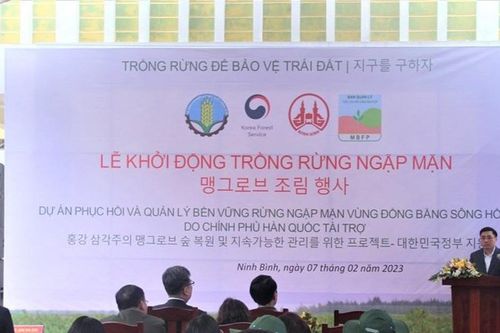 Khởi động Dự án trồng rừng ngập mặn do Chính phủ Hàn Quốc tài trợ tại Ninh Bình