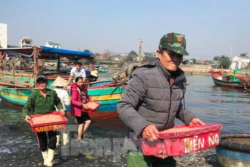 Thuyền ra khơi trúng đậm, đội bốc vác thuê tất bật những ngày đầu năm