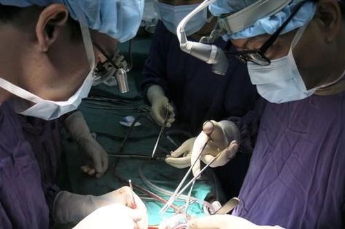 Lập nhóm kín mua bán nội tạng người