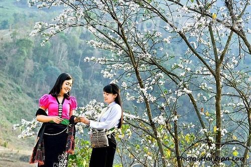 Lễ hội Hoa Ban năm 2023 và Ngày hội Văn hóa, Thể thao, Du lịch các dân tộc tỉnh Điện Biên lần thứ VII