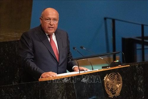 Ai Cập kêu gọi ngăn chặn sự can thiệp vào tiến trình chính trị của Libya