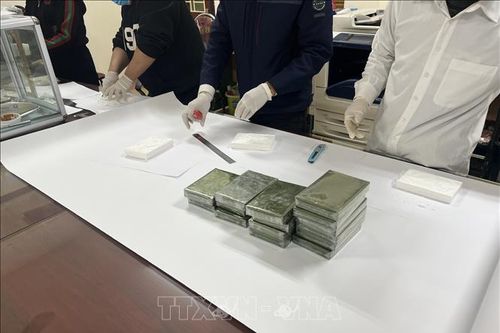 Khởi tố vụ án tàng trữ chất ma túy trên khu vực biển huyện Cát Hải