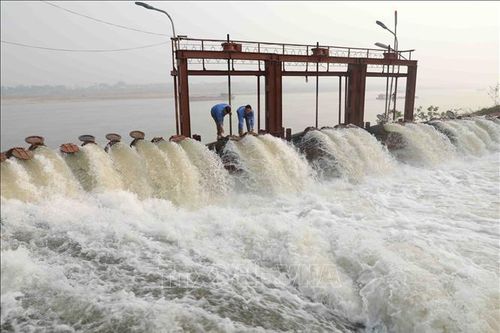 Hà Nội nhiều khả năng không lấy đủ nước gieo cấy lúa vụ Xuân