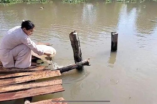 Phóng sanh hơn 300 ký cá các loại về tự nhiên