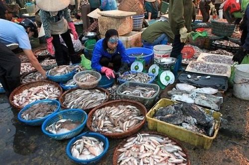 Giá thực phẩm tại Hà Nội bắt đầu có dấu hiệu 'hạ nhiệt'