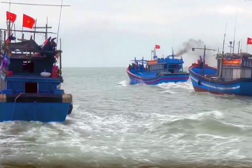Quảng Ngãi: Tàu thuyền vươn khơi khai thác hải sản