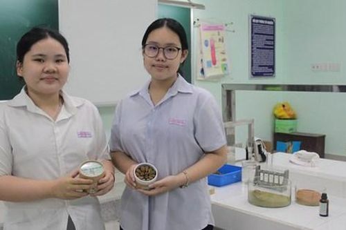 Hai nữ sinh lớp 9 tìm ra cách đuổi muỗi bằng nụ hương tinh dầu bạch đàn