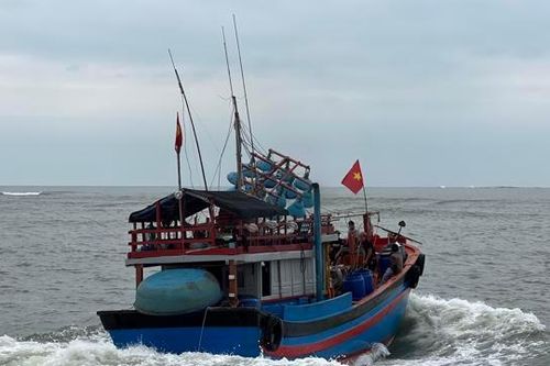 Chuyện về những ngư dân đón Tết giữa trùng khơi