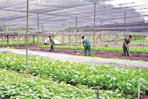 Thành công từ phát huy nội lực